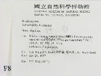 刺皮菌屬藏品圖，第2張