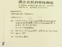 容氏菌屬藏品圖，第2張