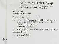 刺皮菌屬藏品圖，第2張