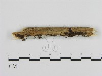 登錄號:F0008640藏品圖，第1張