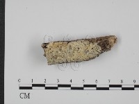 登錄號:F0008641藏品圖，第1張