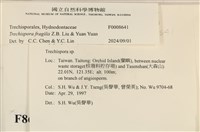 登錄號:F0008641藏品圖，第3張