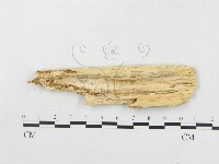 登錄號:F0008643藏品圖，第4張