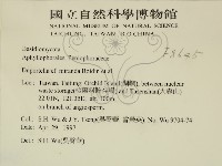 登錄號:F0008645藏品圖，第2張