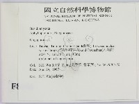 寡孔菌屬藏品圖，第2張