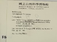 登錄號:F0008648藏品圖，第2張