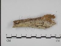 登錄號:F0008648藏品圖，第1張