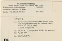 登錄號:F0008648藏品圖，第3張