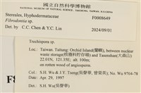 登錄號:F0008649藏品圖，第3張