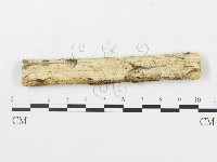 登錄號:F0008650藏品圖，第1張