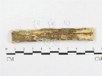 登錄號:F0008650藏品圖，第4張