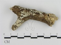 登錄號:F0008651藏品圖，第1張