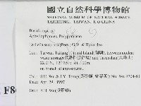 登錄號:F0008654藏品圖，第2張