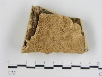 登錄號:F0008654藏品圖，第1張