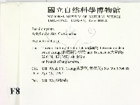 登錄號:F0008656藏品圖，第2張