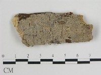 登錄號:F0008657藏品圖，第1張
