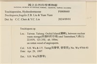登錄號:F0008660藏品圖，第3張
