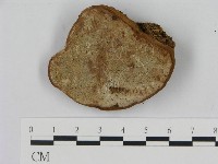 登錄號:F0008661藏品圖，第1張