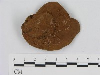 登錄號:F0008661藏品圖，第4張