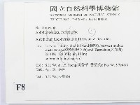 登錄號:F0008662藏品圖，第2張