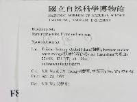 刺革菌屬藏品圖，第2張