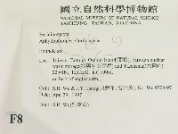 登錄號:F0008664藏品圖，第2張
