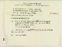 登錄號:F0008665藏品圖，第2張