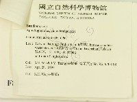 登錄號:F0008665藏品圖，第3張