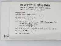 雲芝藏品圖，第2張