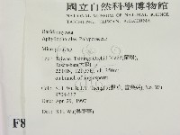 小孔菌屬藏品圖，第2張