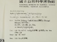 雲芝藏品圖，第2張