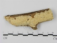 登錄號:F0008671藏品圖，第1張