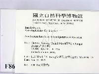 登錄號:F0008672藏品圖，第2張