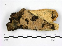 登錄號:F0008672藏品圖，第1張