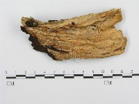 登錄號:F0008672藏品圖，第3張