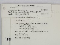 登錄號:F0008673藏品圖，第2張