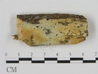 登錄號:F0008674藏品圖，第1張