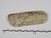 登錄號:F0008677藏品圖，第1張