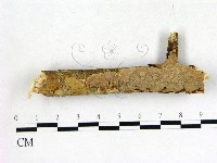 登錄號:F0008678藏品圖，第1張