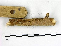 登錄號:F0008678藏品圖，第3張