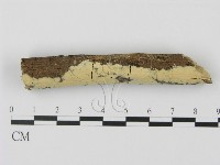 登錄號:F0008679藏品圖，第1張
