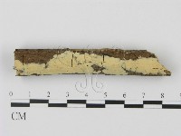 登錄號:F0008679藏品圖，第3張