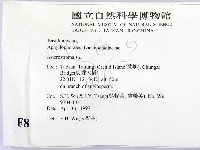 登錄號:F0008680藏品圖，第2張