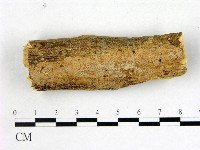 登錄號:F0008680藏品圖，第1張