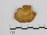 登錄號:F0008681藏品圖，第1張