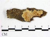 登錄號:F0008685藏品圖，第1張