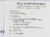 刺皮菌屬藏品圖，第2張
