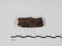 登錄號:F0008687藏品圖，第1張