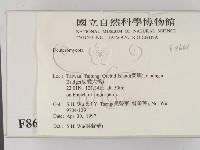 登錄號:F0008688藏品圖，第2張