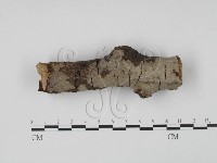 登錄號:F0008688藏品圖，第1張